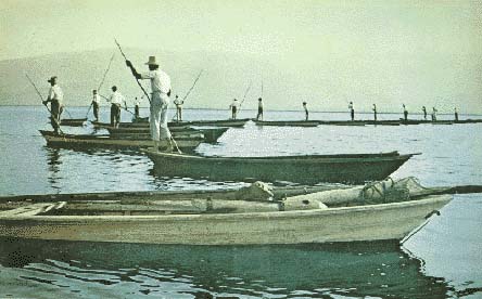 ������������